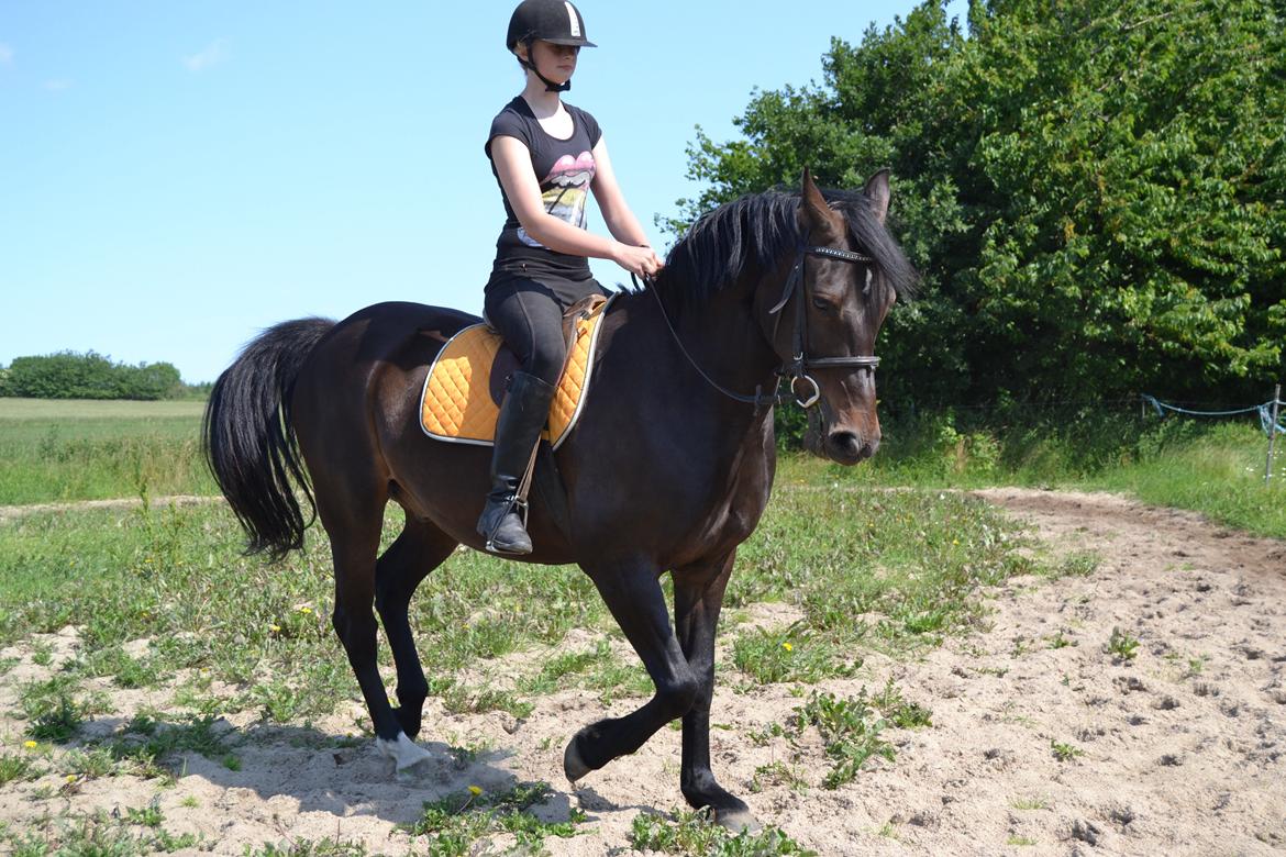 Anden særlig race Taura - Han kan jo godt ;-)) billede 4