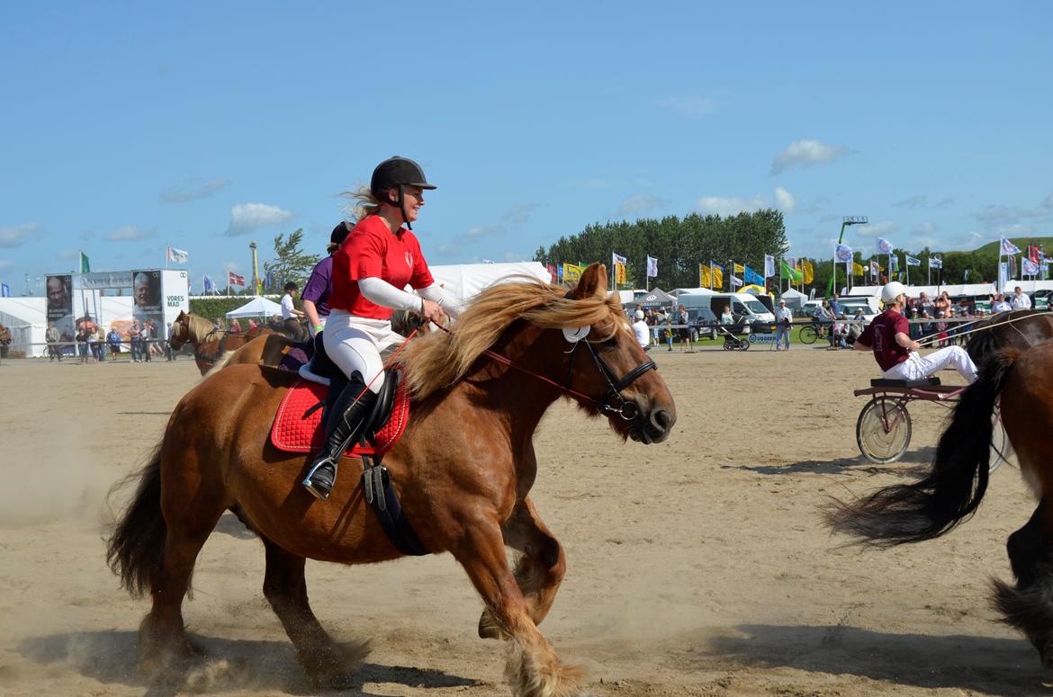 Jyde Mary - Landsskuet 2013 - fredag d. 5. juli billede 6