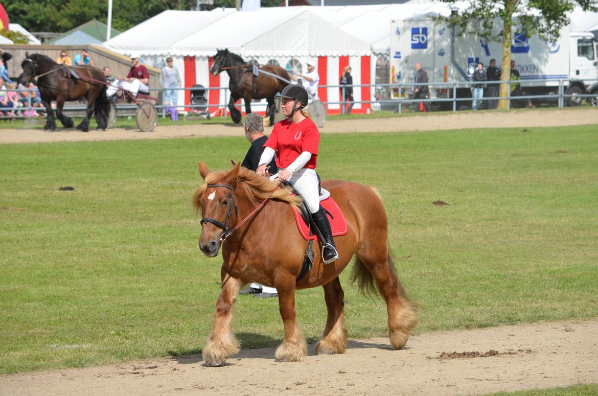 Jyde Mary - Landsskuet 2013 - fredag d. 5. juli billede 2