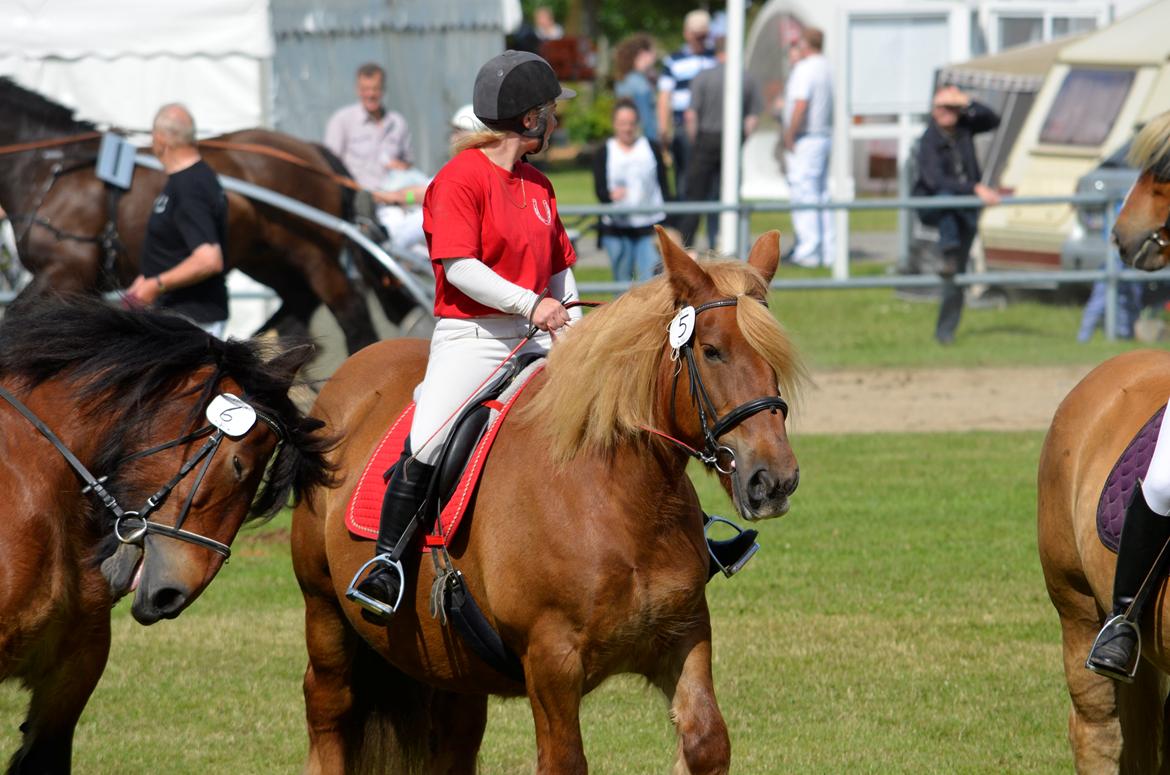 Jyde Mary - Landsskuet 2013 - fredag d. 5. juli billede 4