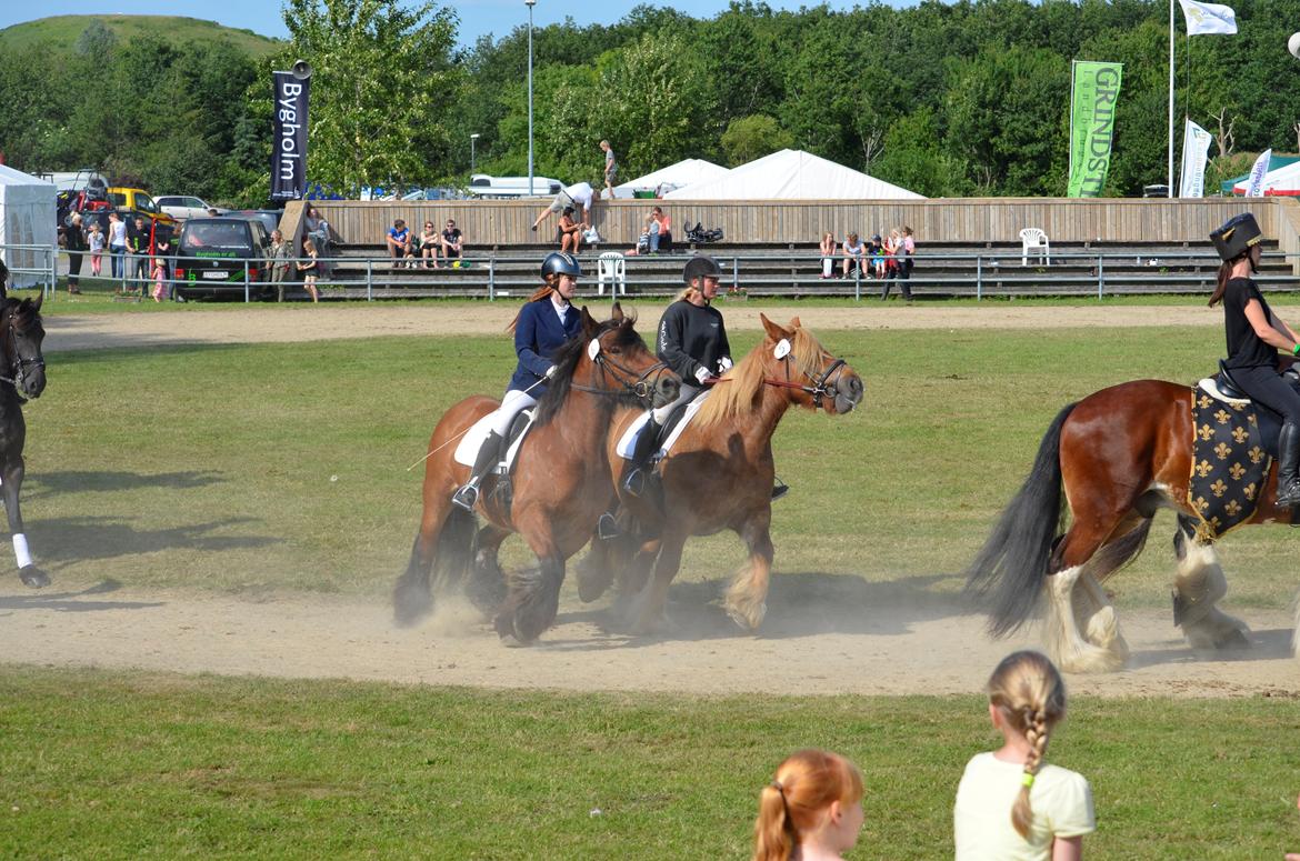 Jyde Mary - Landsskuet 2013 - lørdag d. 6. juli billede 8
