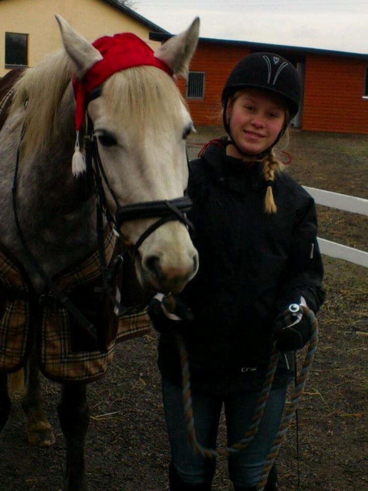 Connemara Blue Rossi (tid. part) billede 10