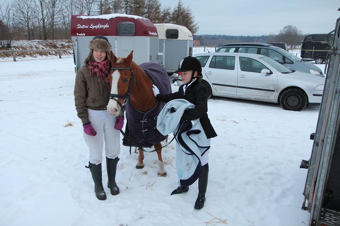 Anden særlig race Falcks Flamme "SOLGT&SAVNET" - jeg vil altid elske dig  billede 2