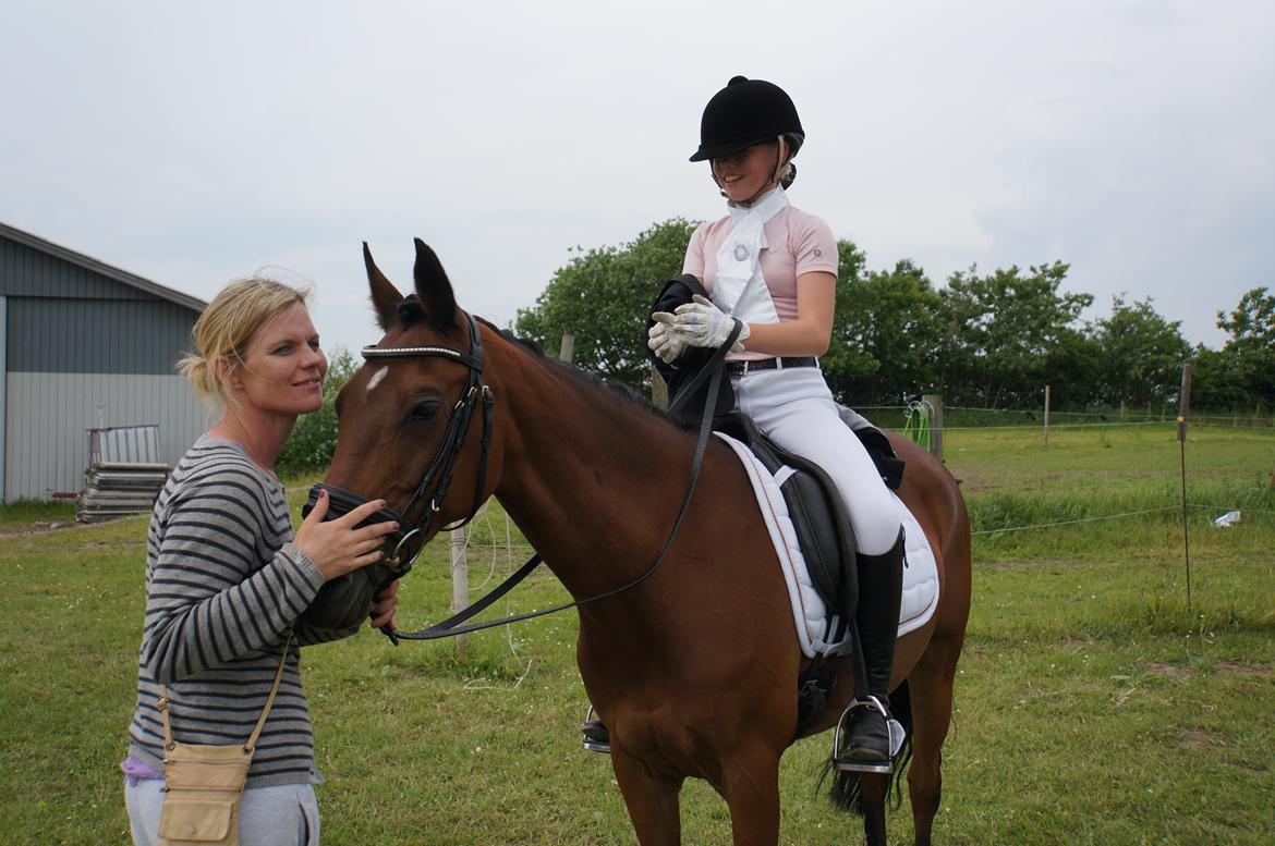 Anden særlig race Milou  - You and me forever<33 billede 4