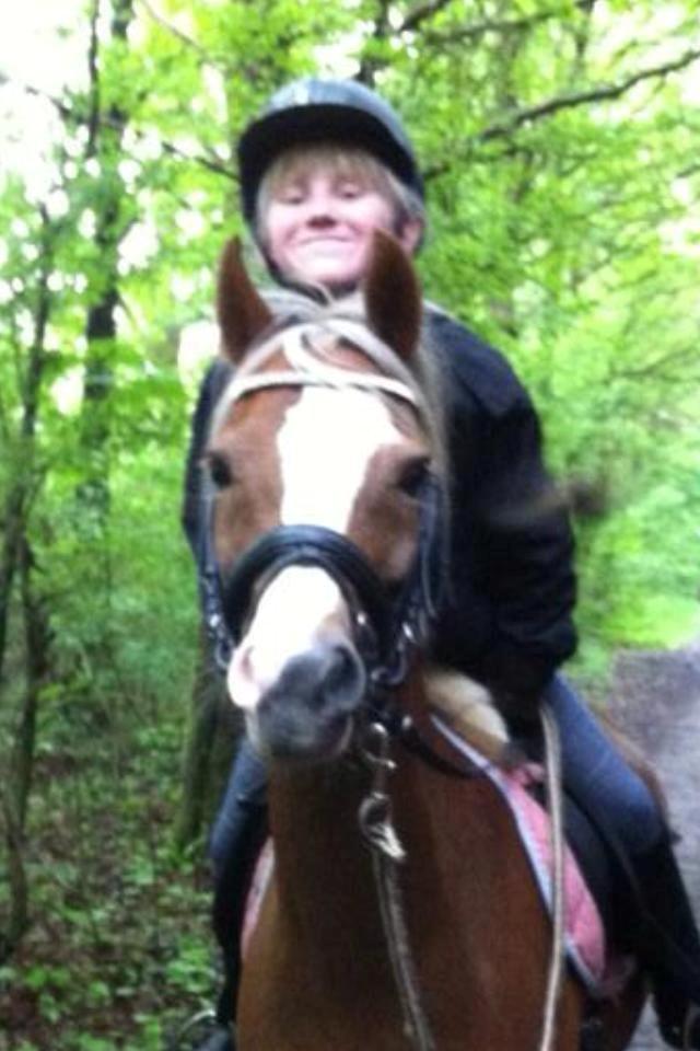 Welsh Pony (sec B) Den deel´s Romeo Savnet - ELSKER DEN PONY<3<3<3
Skovtur!<3 billede 12