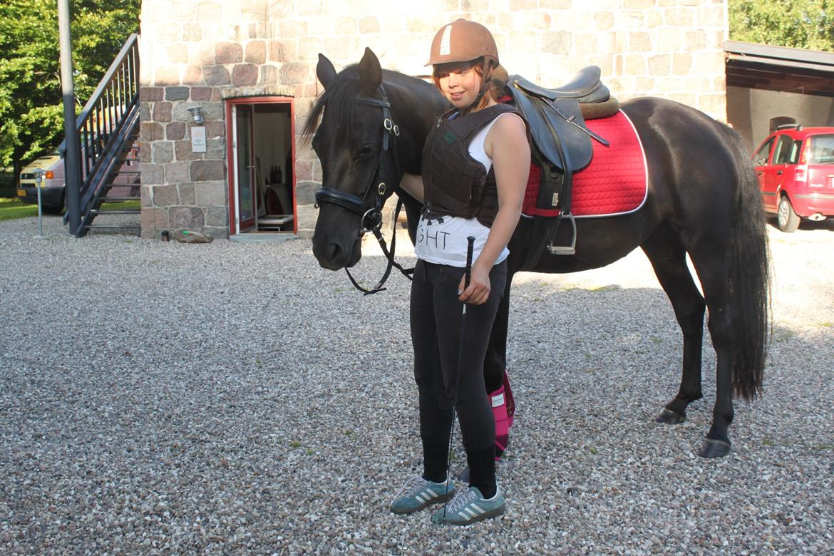 DSP Fiona - Derhjemme på gårdspladsen billede 18