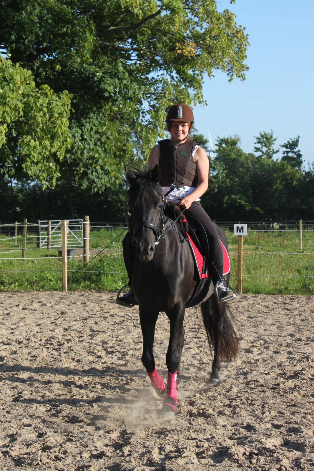 DSP Fiona - På ridebane billede 10