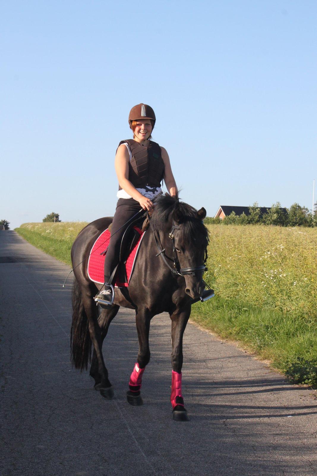 DSP Fiona - Sød hest på tur billede 6