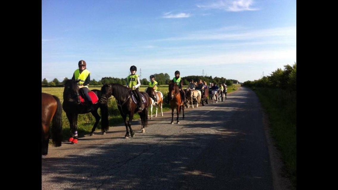 DSP Fiona - Fiona og jeg er med på lang ridetur billede 33