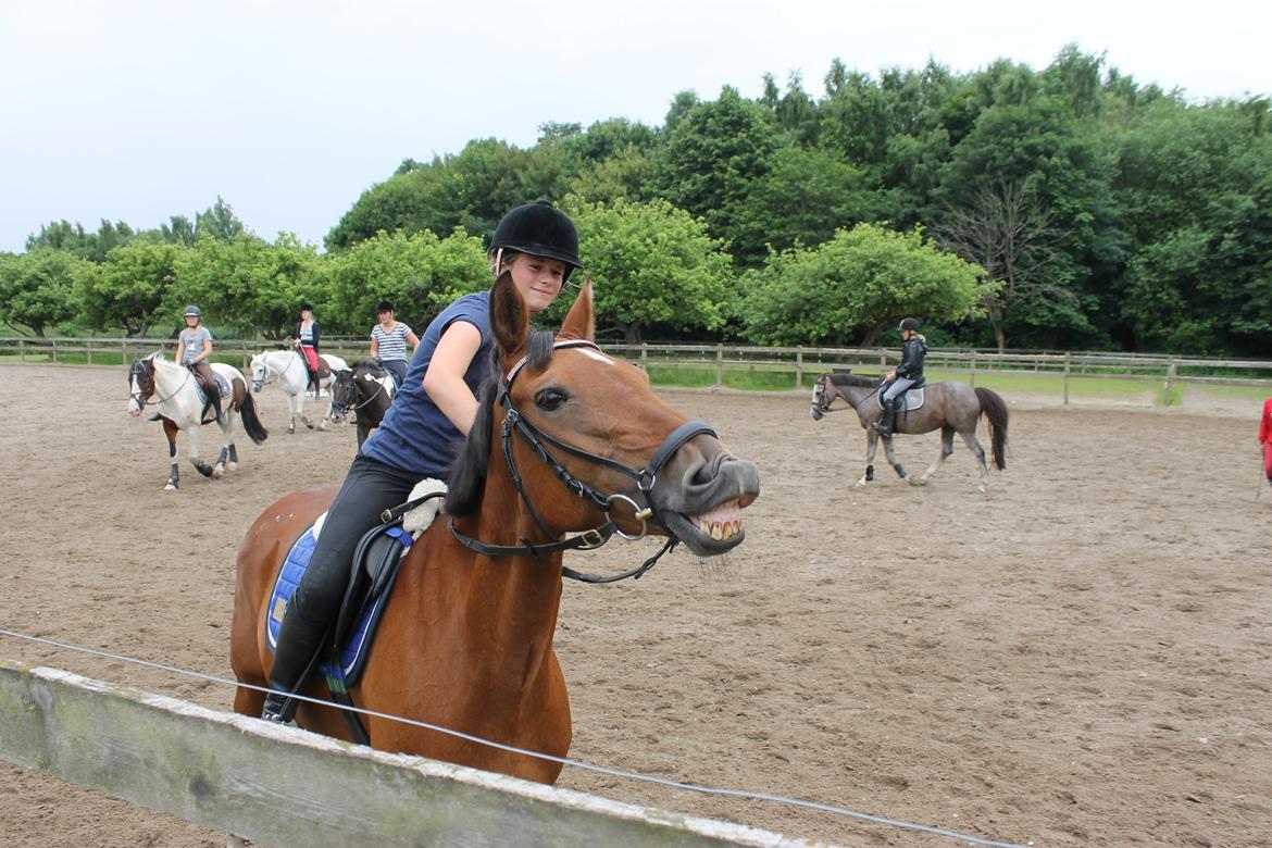 Irsk Sportspony Miss Acrobat (Smiley) <3 - Ridelejr på ØRK <3!! Taget af Emilie med Nicos kamera <3:D billede 4