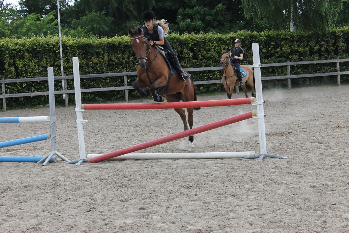 Irsk Sportspony Miss Acrobat (Smiley) <3 - Terrænspringning på ridelejren her over 1 meter <3:) Taget Af Nico :)
 billede 10