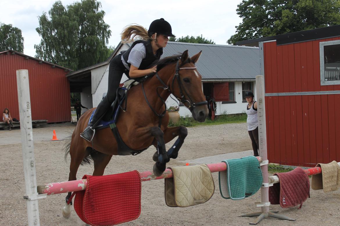 Irsk Sportspony Miss Acrobat (Smiley) <3 - Over underlags springet i terrænspringning <3!!
Taget Af Nico :D:)<3 billede 12