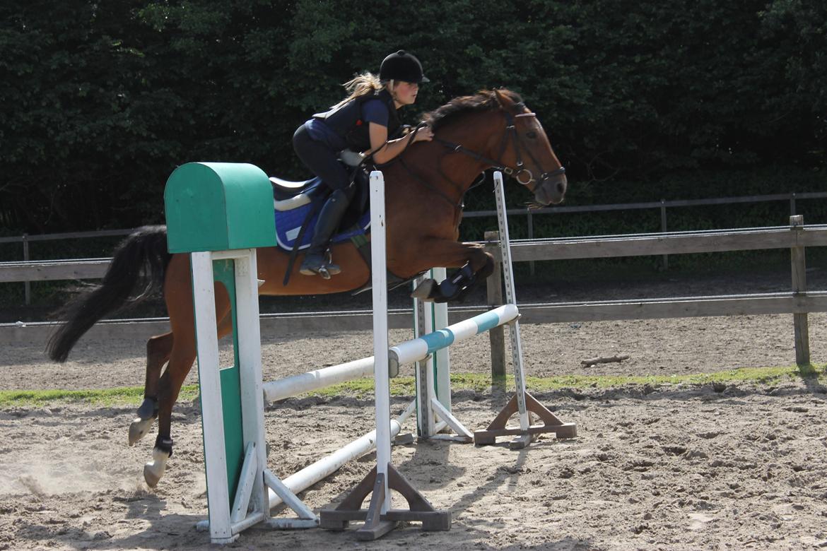 Irsk Sportspony Miss Acrobat (Smiley) <3 - Springtræning <3:):D Taget af Nico <3 billede 6