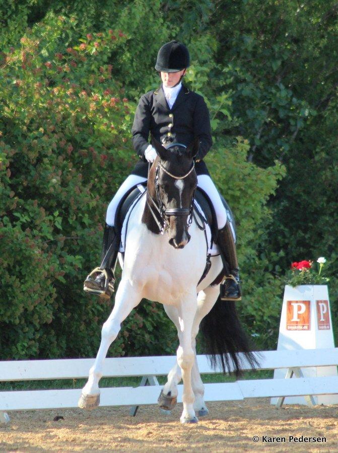 Pinto Vestervangs Miss Zorba - Versade, DYD-stævne i HRV Juli 2013 :) billede 17