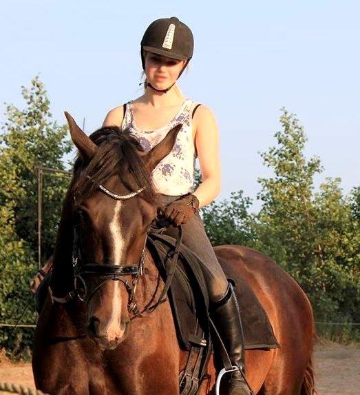 Dansk Varmblod / Sportspony   November Surprise - Her kan man rigtig se hendes smukke blis!  billede 9