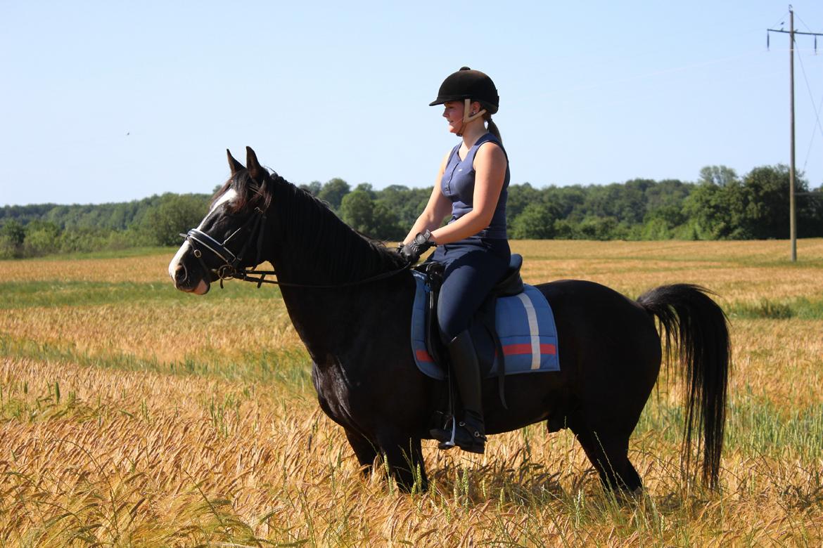 Anden særlig race Bertil - Bertil og jeg, juli 2013. billede 1