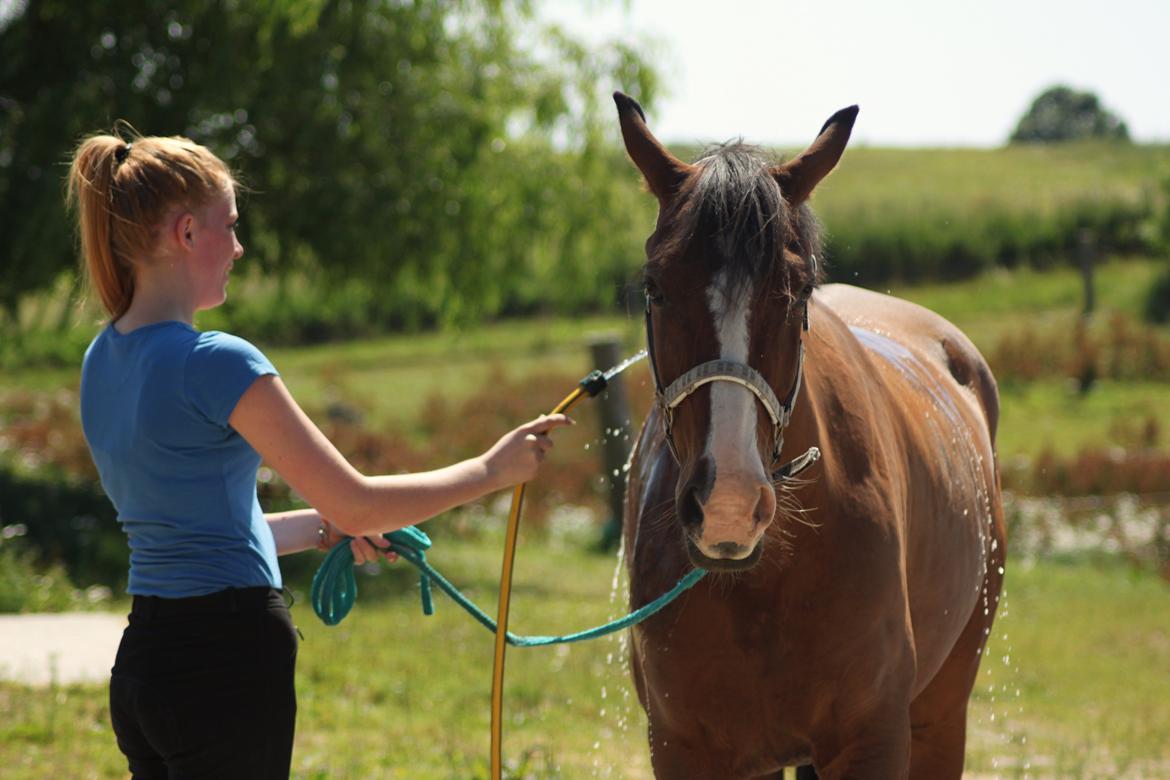 Anden særlig race Pedro El Valentino [Pede] - Altid skønt at blive vasket! <3 foto: Line Holst Petersen billede 10