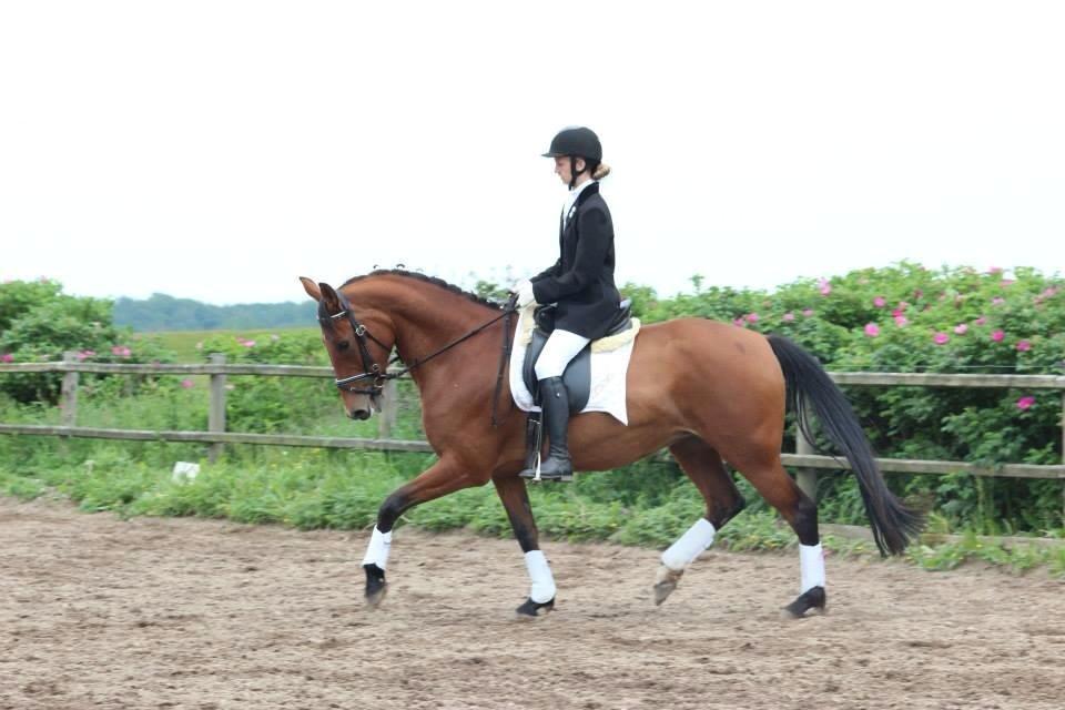 Anden særlig race *L*A*I*K*A* billede 9