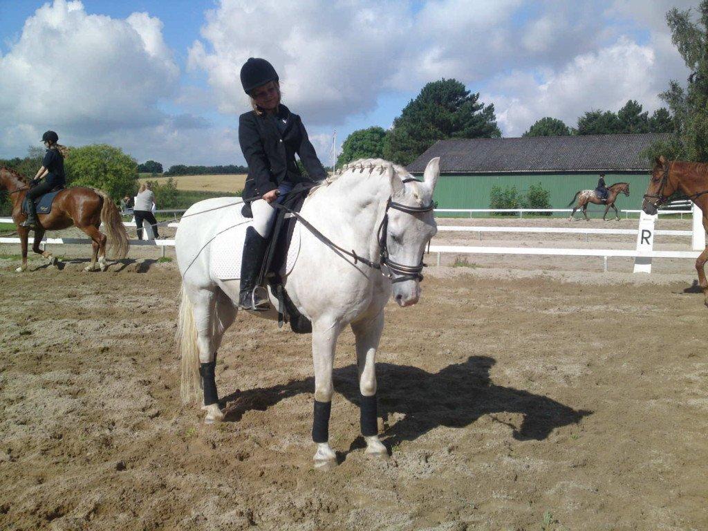 Anden særlig race Hovsa billede 7