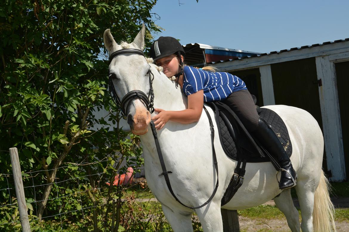 Anden særlig race Hovsa billede 9