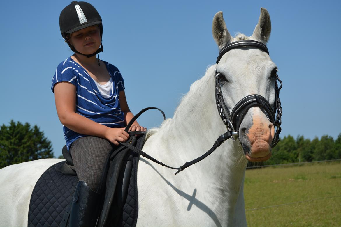 Anden særlig race Hovsa billede 10