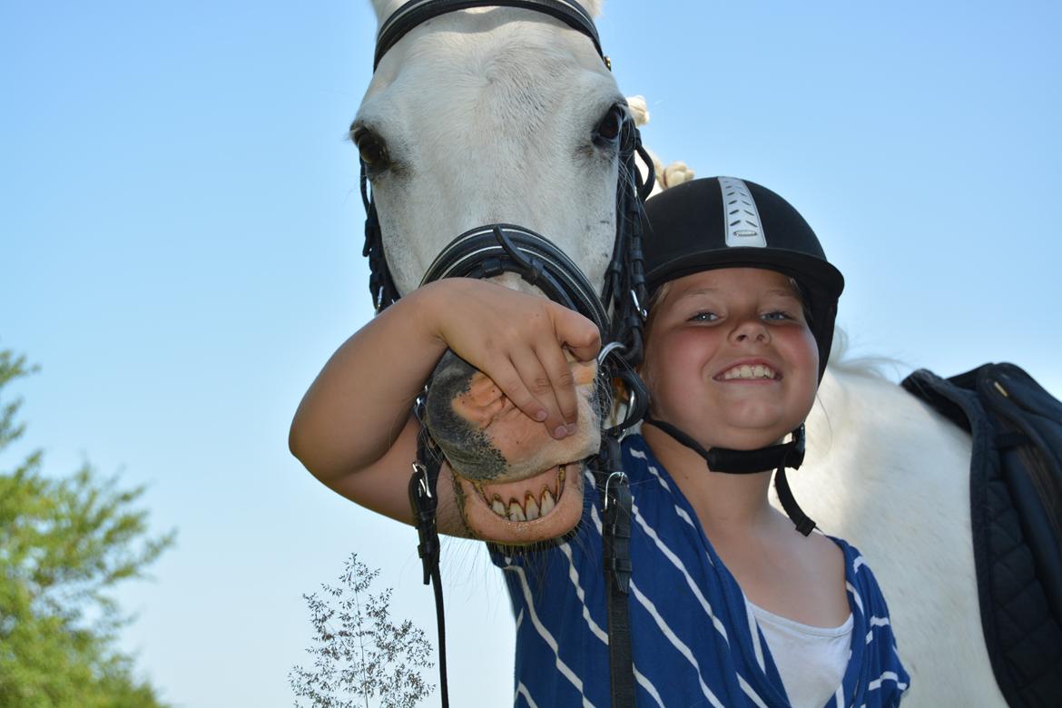 Anden særlig race Hovsa billede 1