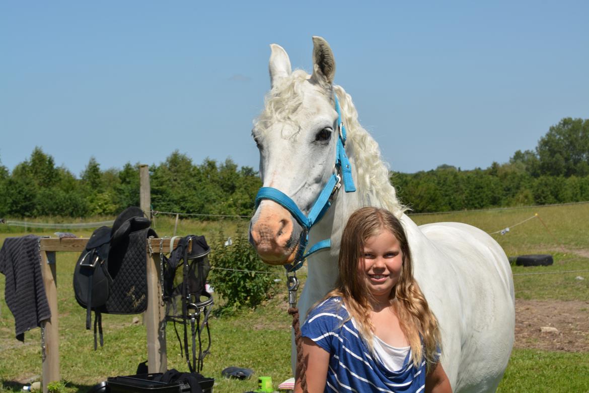 Anden særlig race Hovsa billede 2