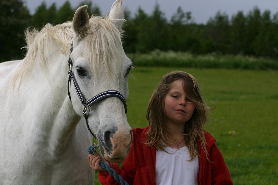 Anden særlig race Hovsa billede 13