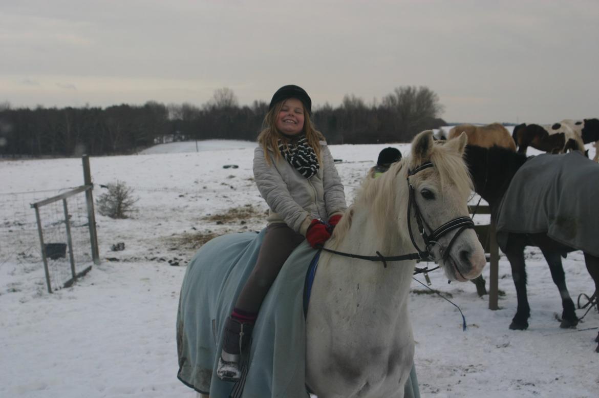 Anden særlig race Hovsa billede 17