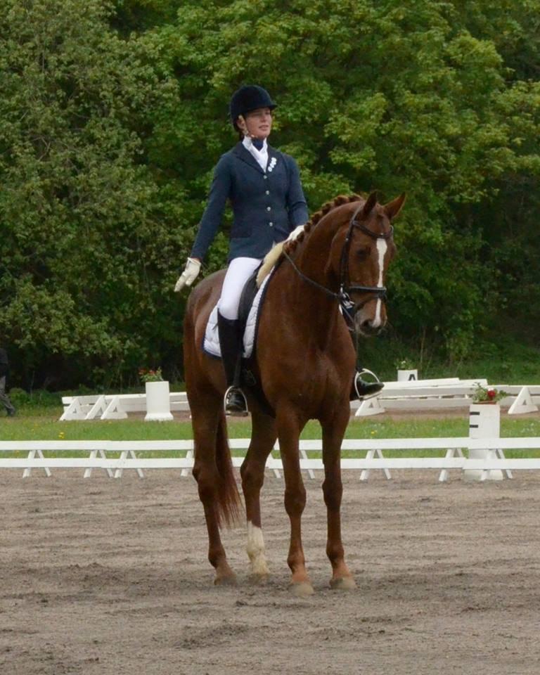 Dansk Varmblod Madigan Lox - Stævne KOR pinse 2013 billede 1