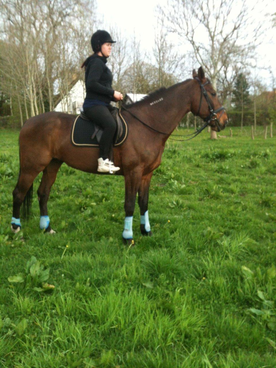 Traver Happy Day Rex (Zulu) - Så fin han er! :-* billede 18