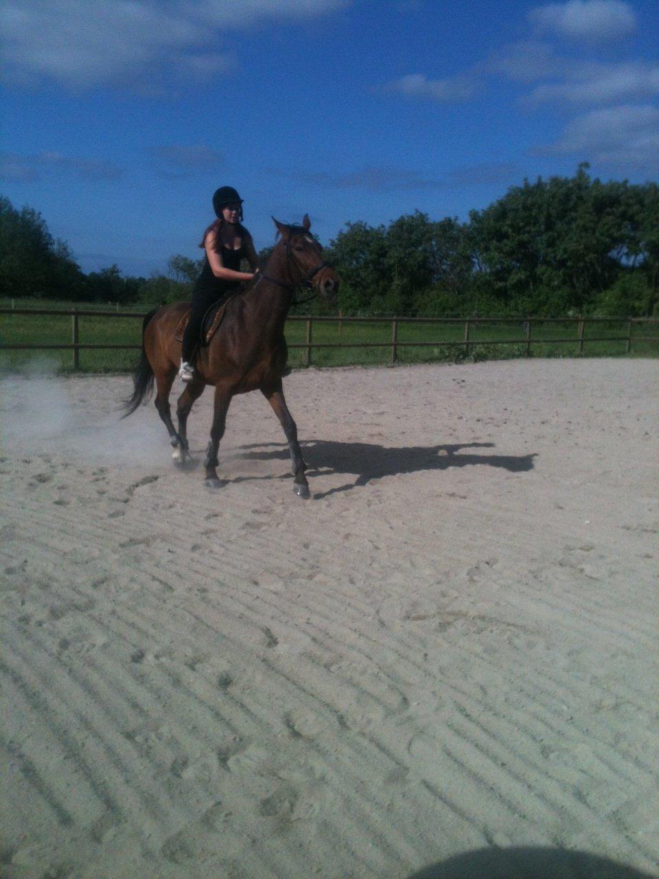 Traver Happy Day Rex (Zulu) - Hygger :-* billede 19