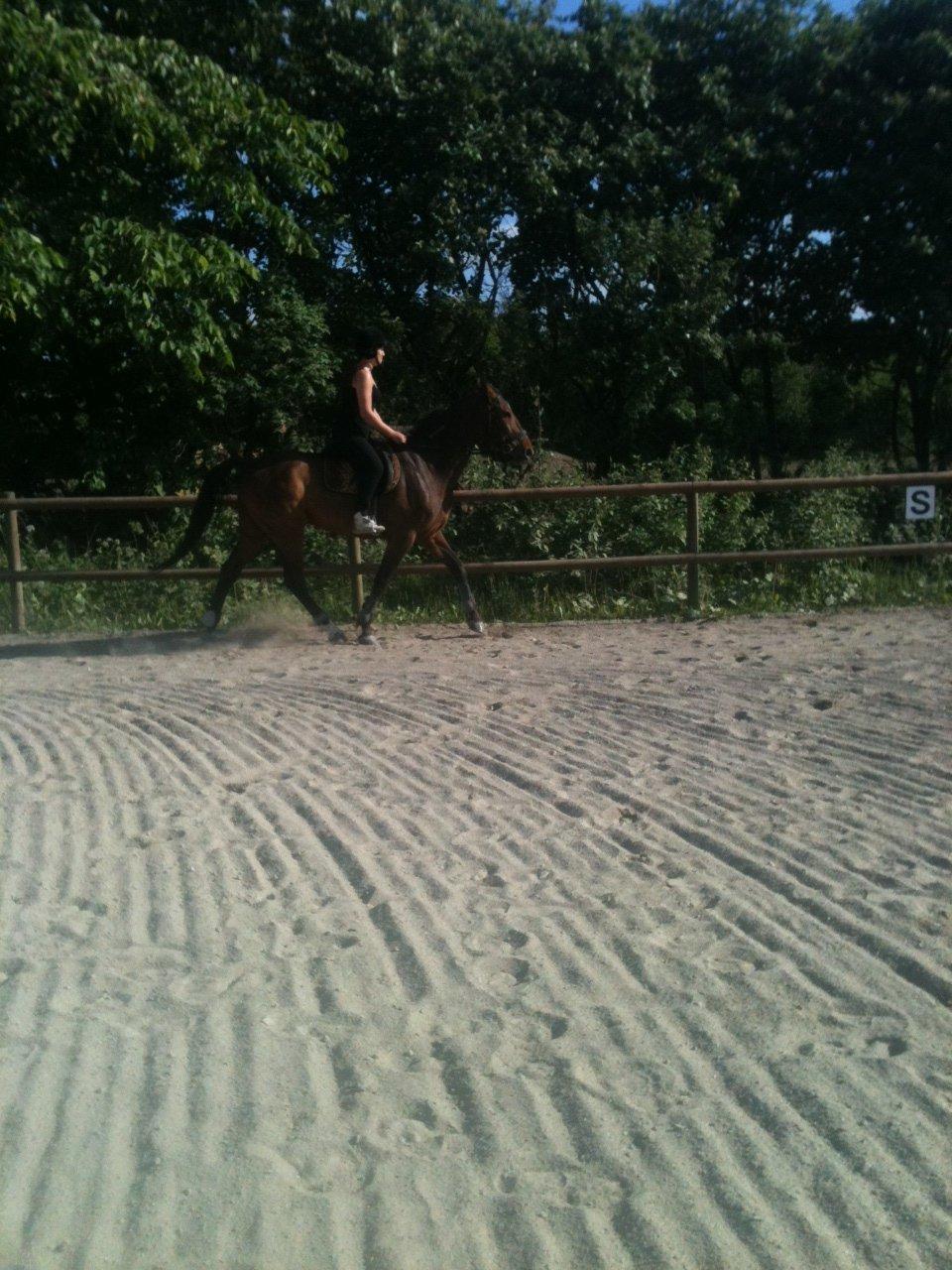 Traver Happy Day Rex (Zulu) - Du er den bedste! :-*<3 billede 20