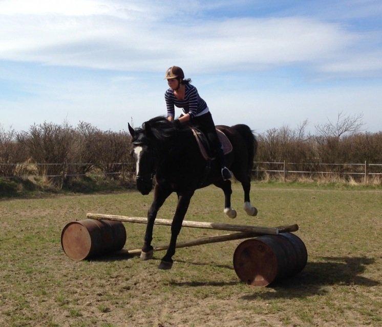 Oldenborg Gelique billede 16