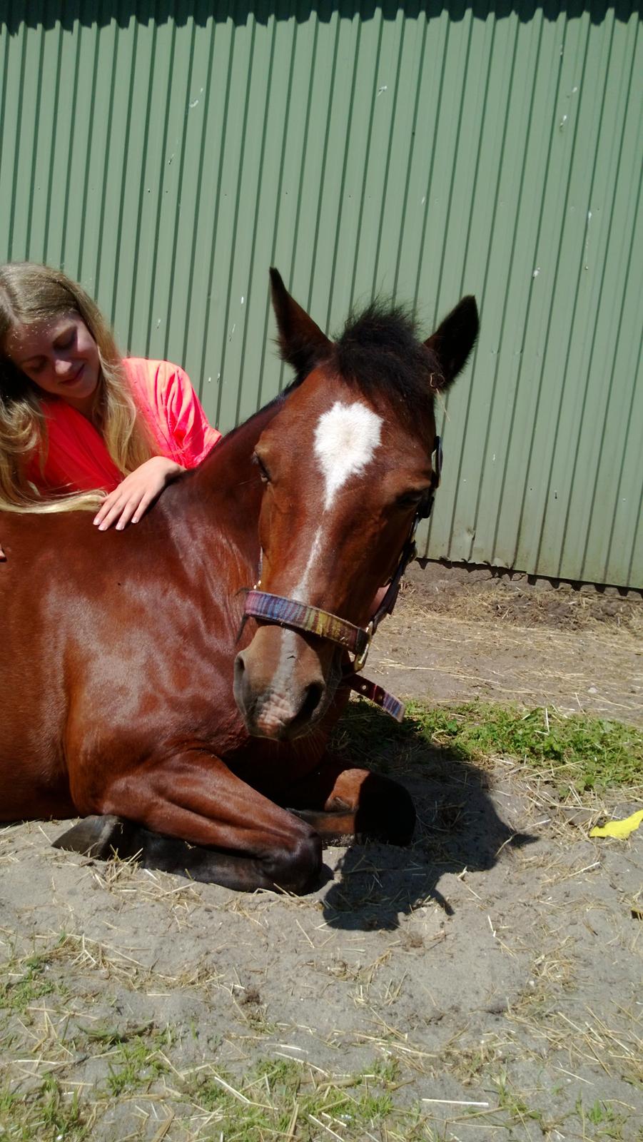Anden særlig race Lady <3 - Det sammen I <3 you!  billede 19