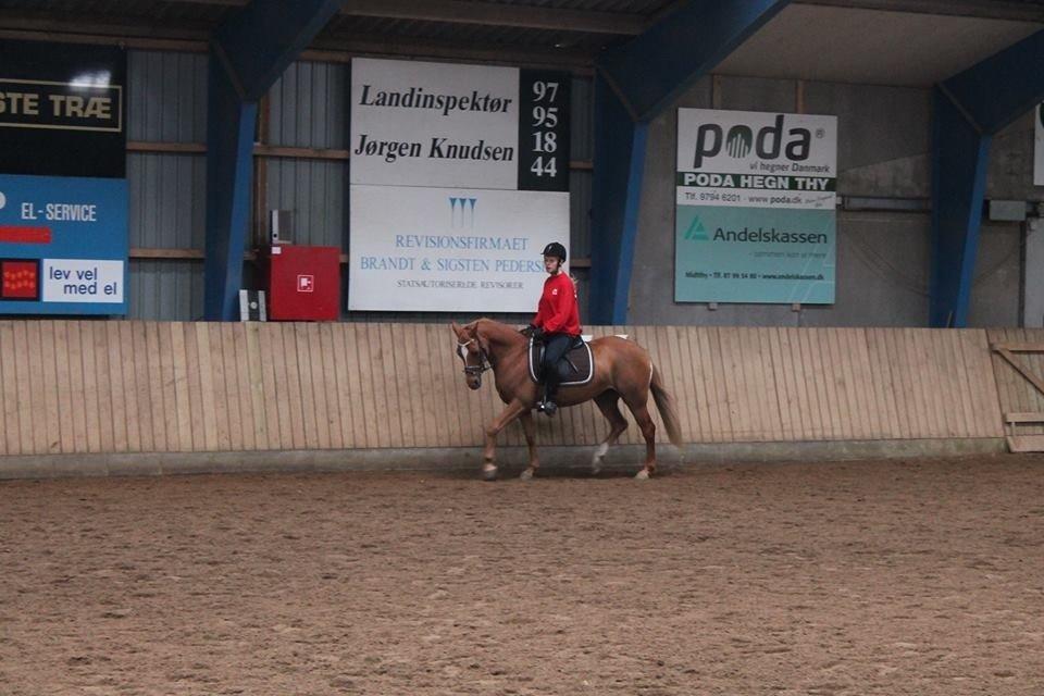 DSP LIND'S PENELOPE M. billede 10