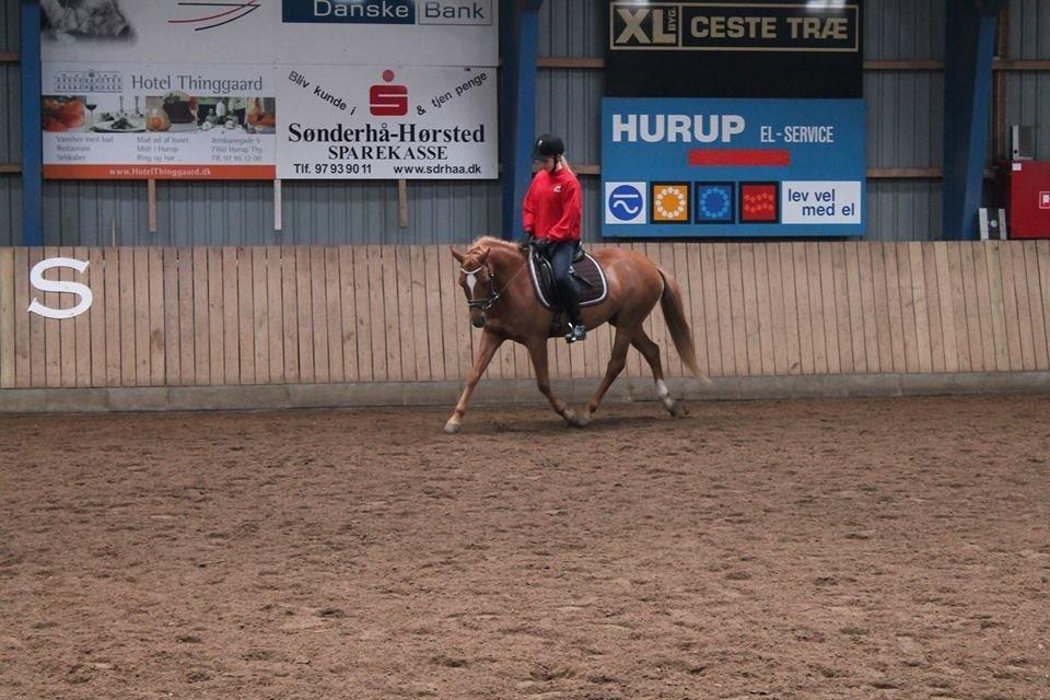 DSP LIND'S PENELOPE M. billede 9