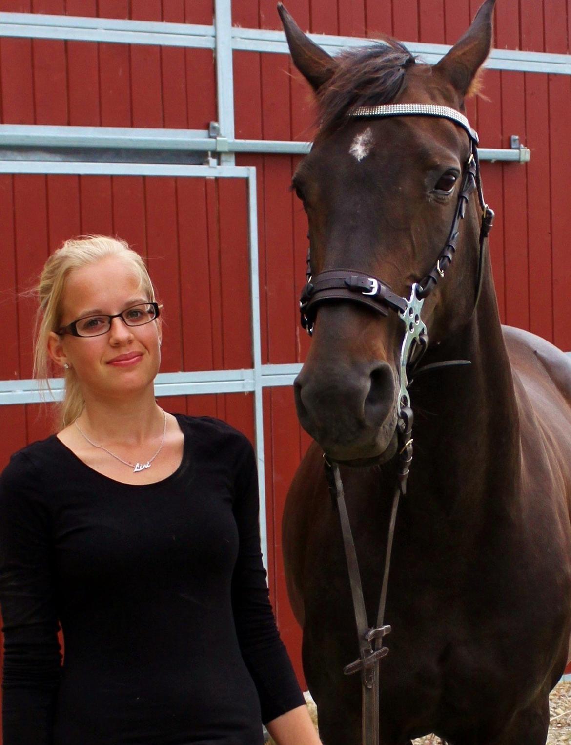 Dansk Varmblod Vesterhavegaard´s Deuchet Epona billede 6