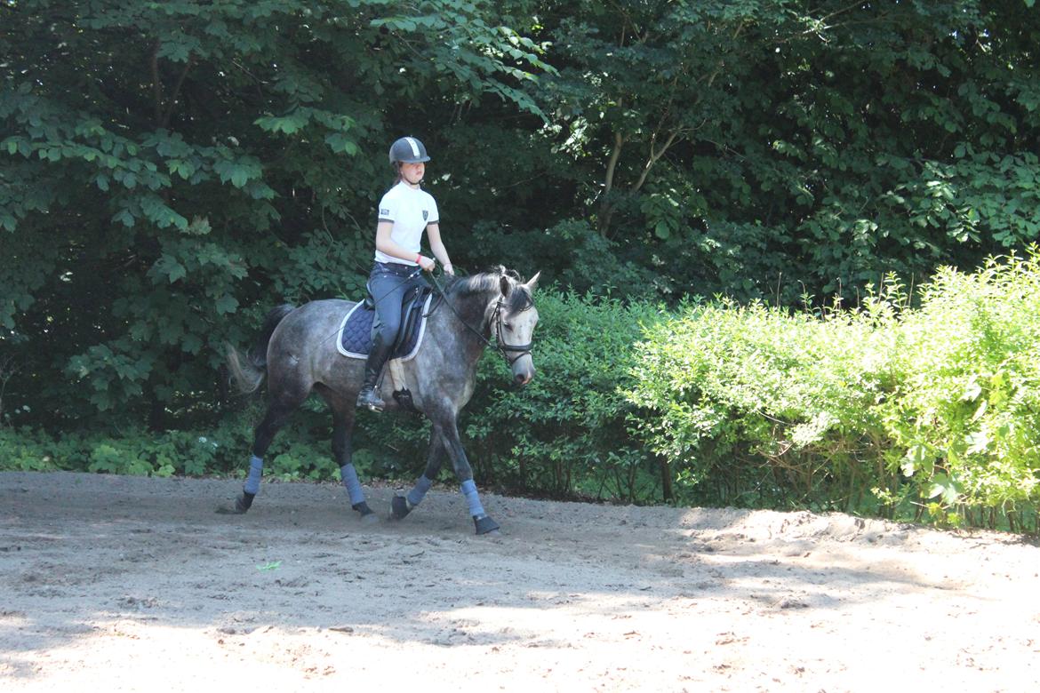 Anden særlig race sa tikki<3 Solgt & savnet - mmmm skøn pony! <3 billede 11