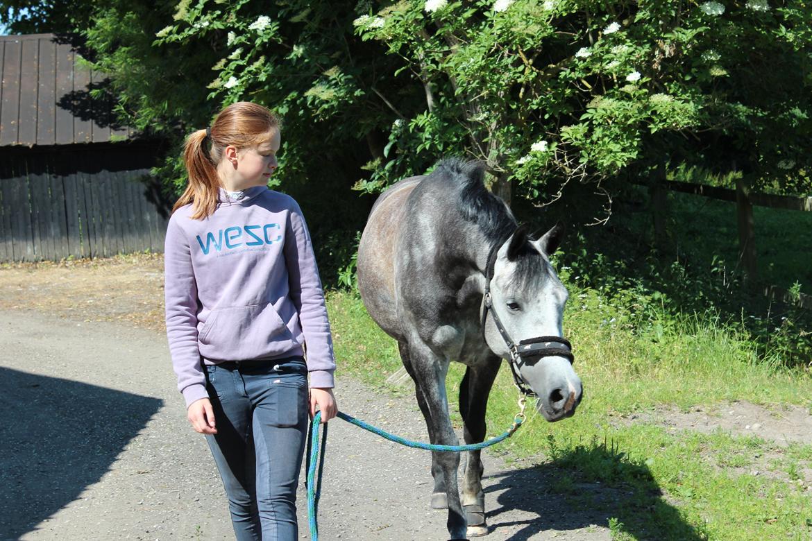 Anden særlig race sa tikki<3 Solgt & savnet - vi hygger! <3 billede 14