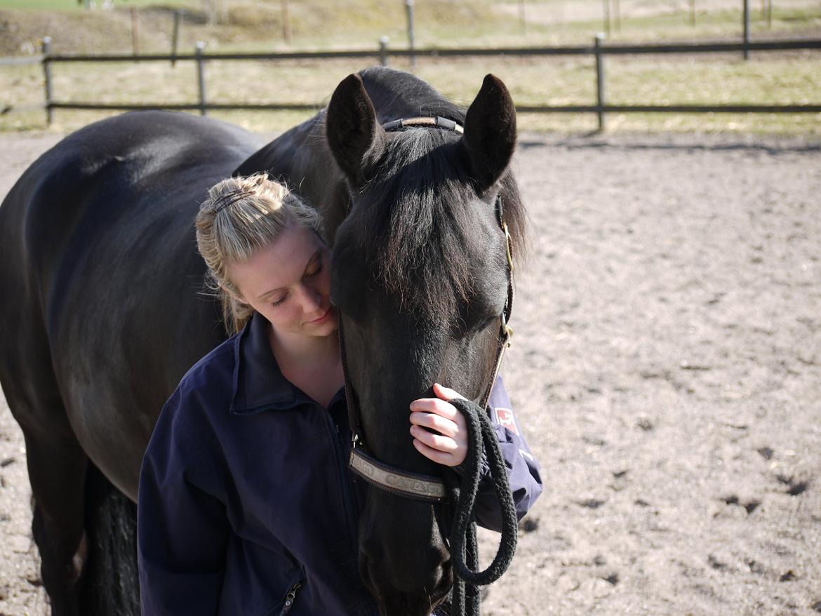 Frieser Sosanna af abildgaard billede 4