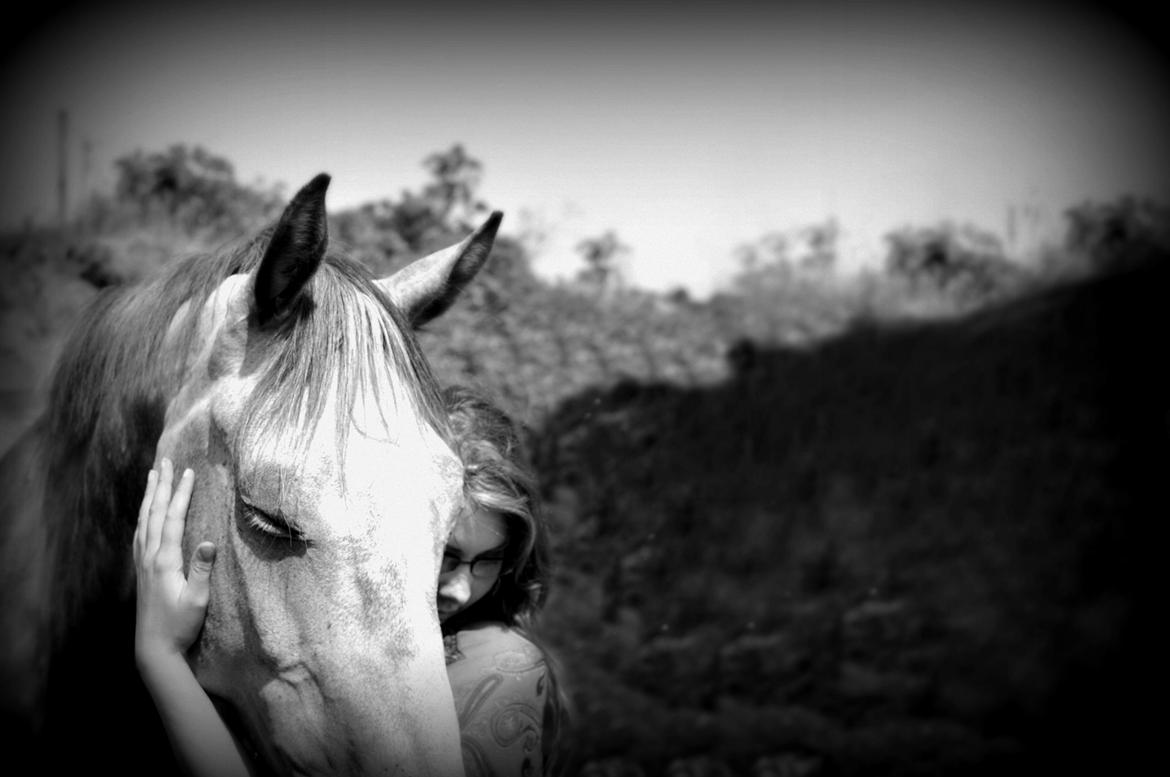 Holstener Colt 45 billede 11