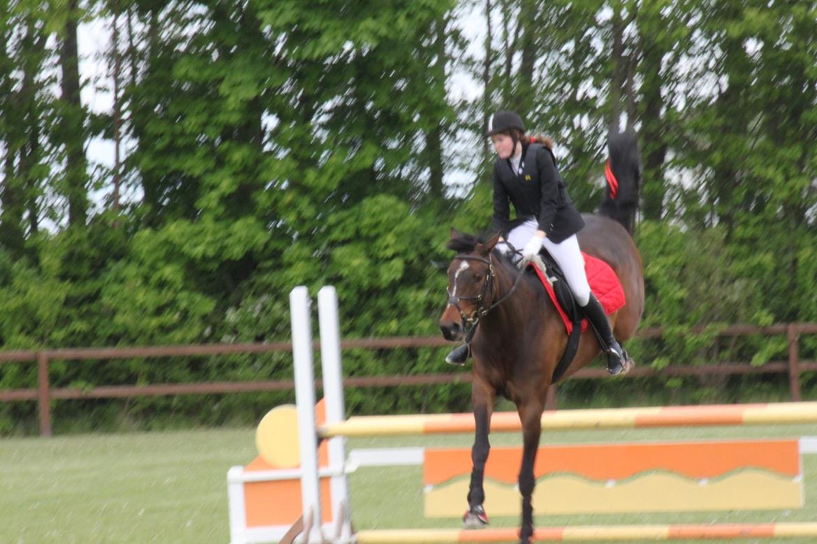 Dansk Varmblod - Adventure C. - Lidt bagbens teknik ;) billede 14