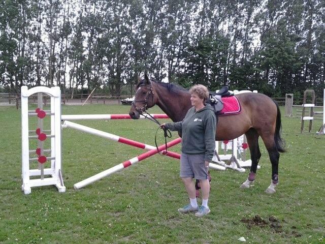 Dansk Varmblod - Adventure C. - Min mor er en stolt heste holder, efter at Ac og jeg har sprunget 120! :) billede 15