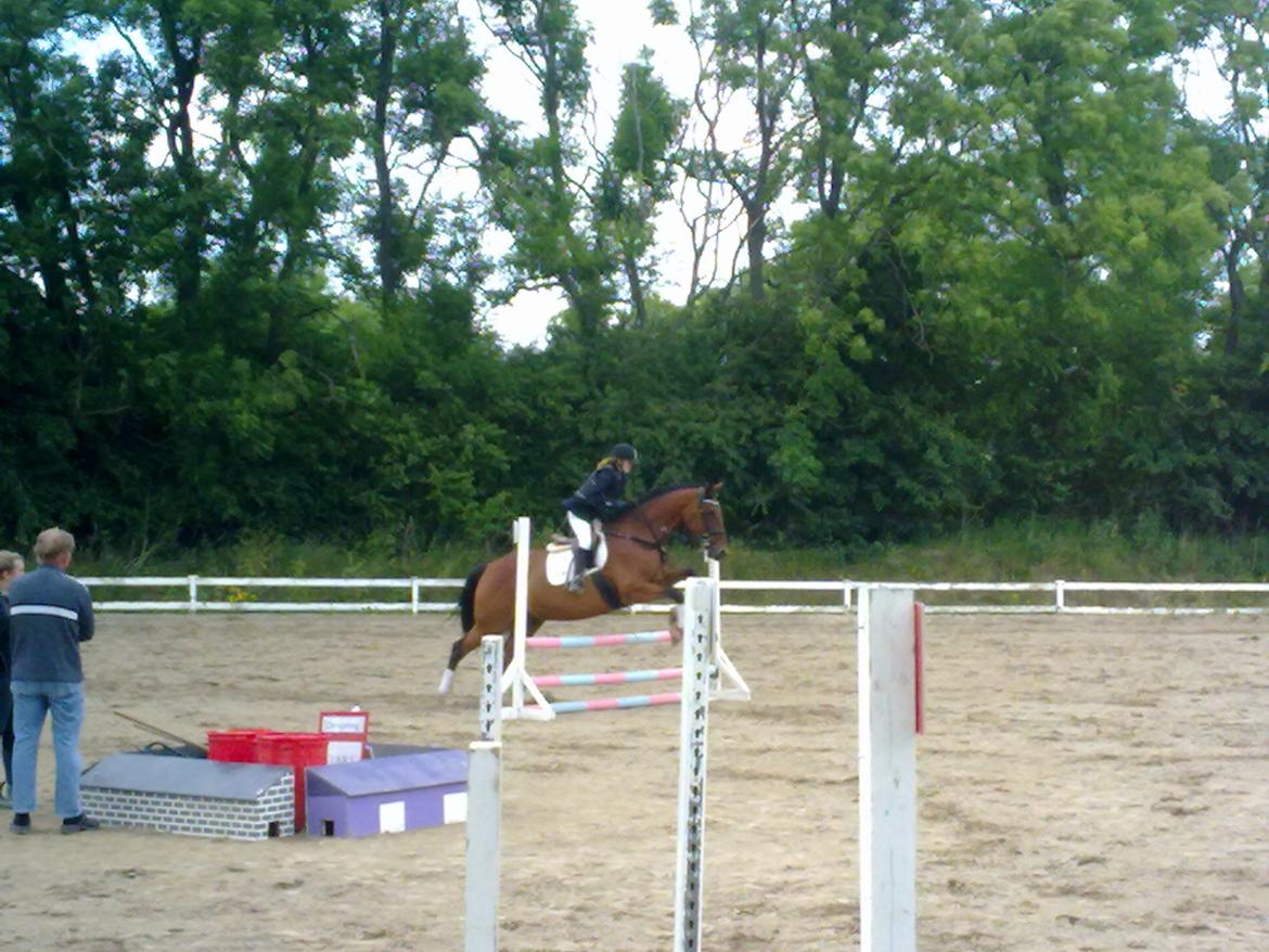 Oldenborg Okholms Caranya billede 21