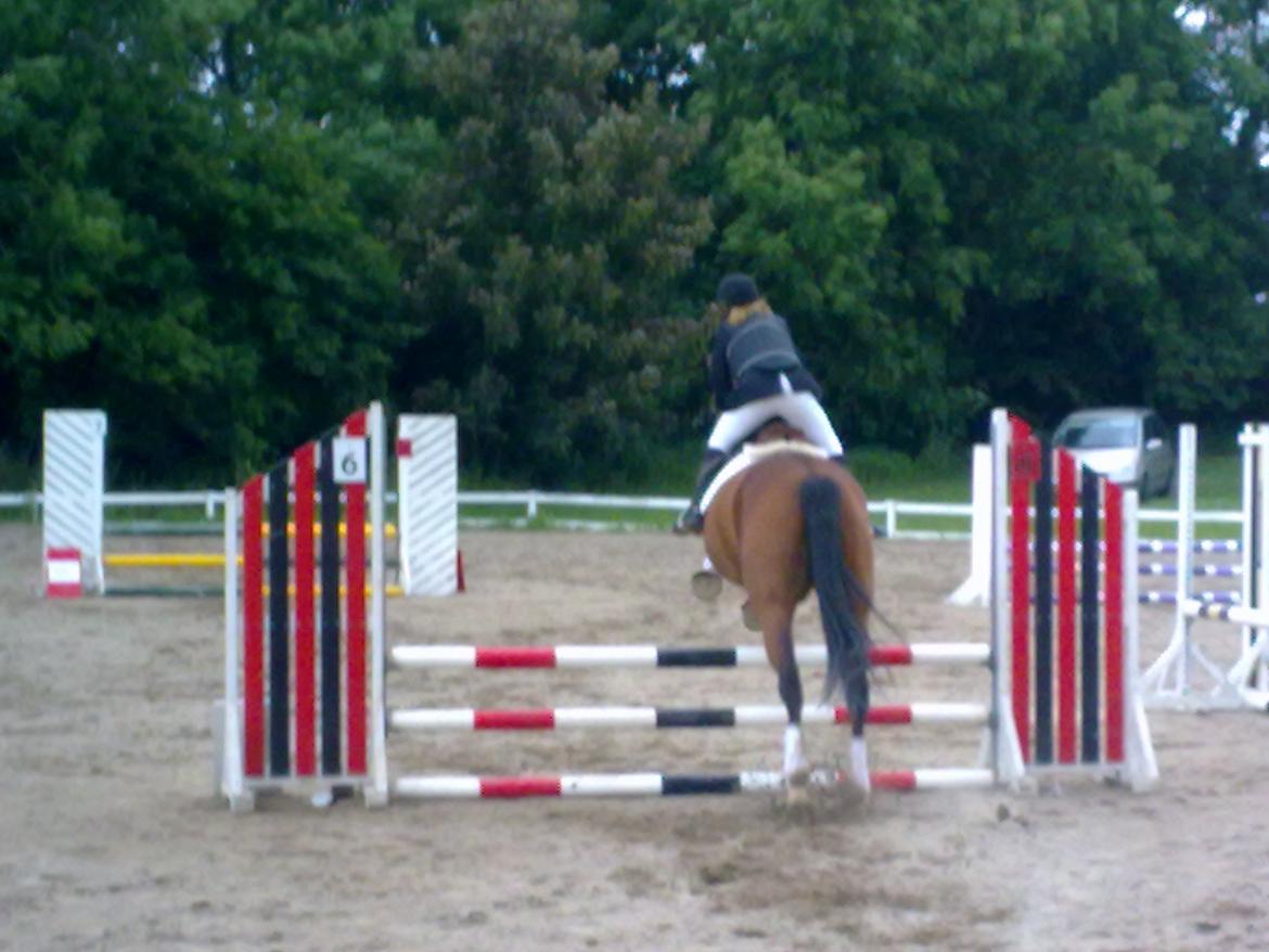 Oldenborg Okholms Caranya billede 24