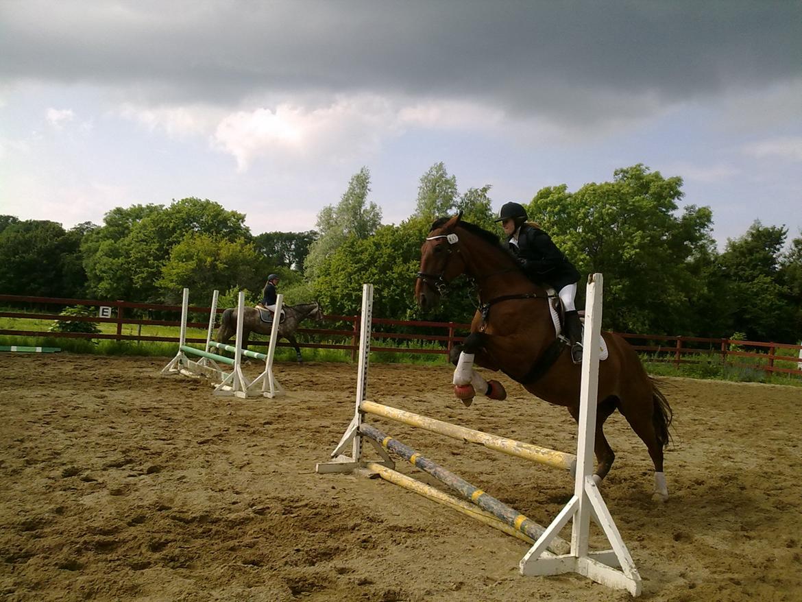 Oldenborg Okholms Caranya billede 26