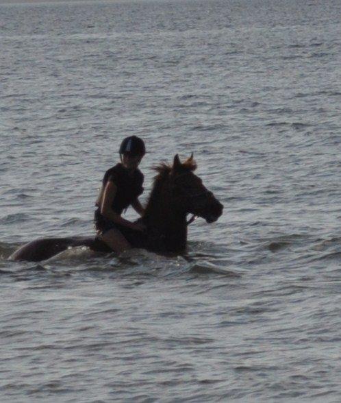 Anden særlig race Golden Fox<3 R.I.P - helt ude og svømme.<3 billede 9