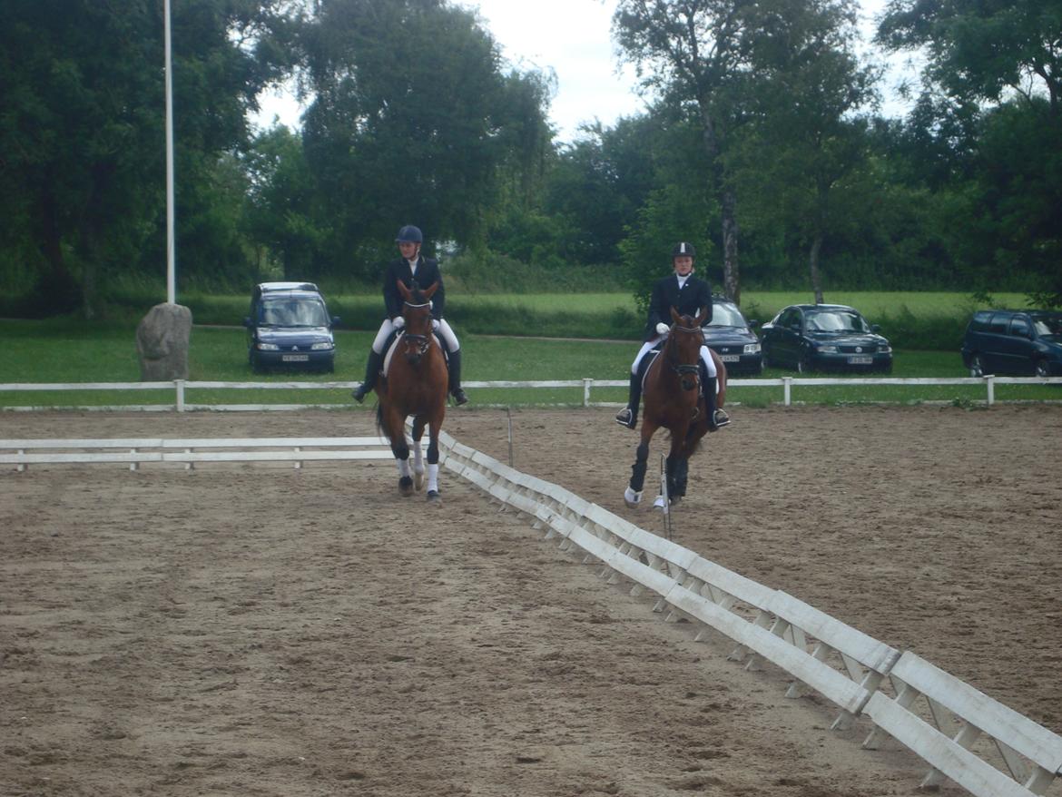 Oldenborg Okholms Caranya billede 31