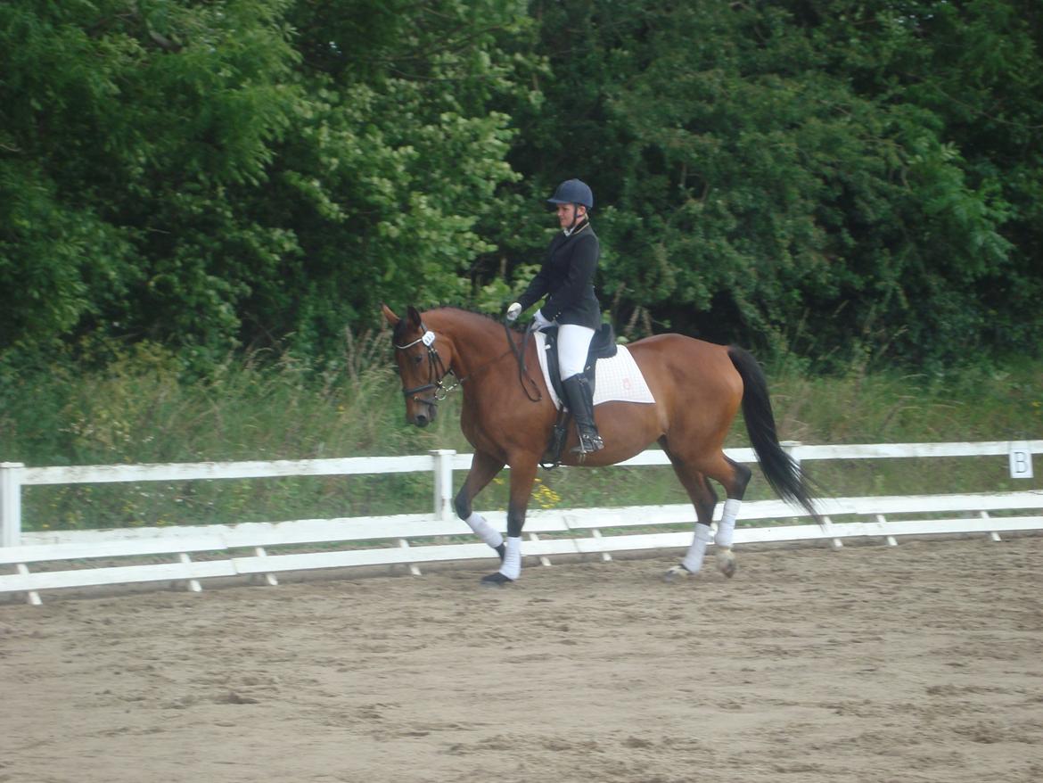 Oldenborg Okholms Caranya billede 34